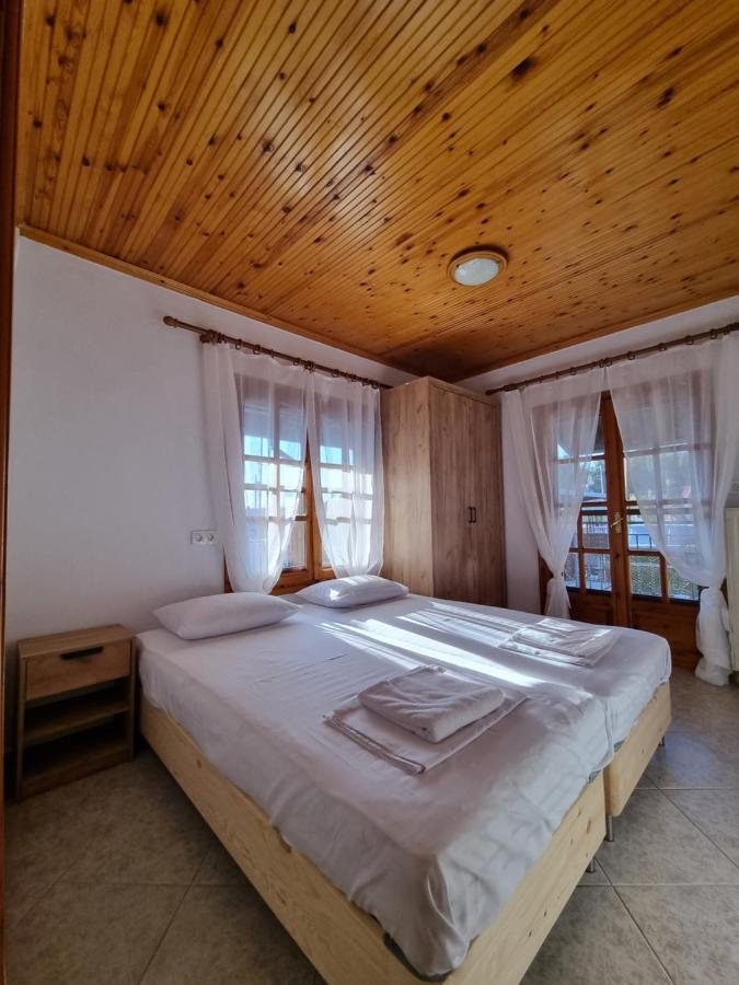 Villa Oasis House *